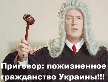 Когда брак — не брак, а интернет — не интернет: подборка жизненных парадоксов