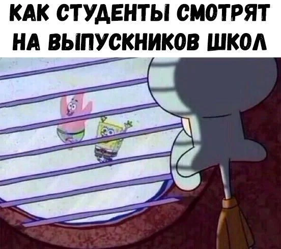 Первый корпоратив: мемы про выпускной 2026 года Первый корпоратив: мемы про выпускной 2026 года выпускной, мемы, школа, приколы, ностальгия, корпоратив