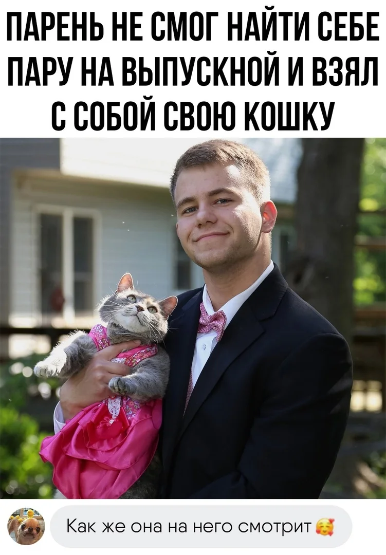 Первый корпоратив: мемы про выпускной 2026 года Первый корпоратив: мемы про выпускной 2026 года выпускной, мемы, школа, приколы, ностальгия, корпоратив