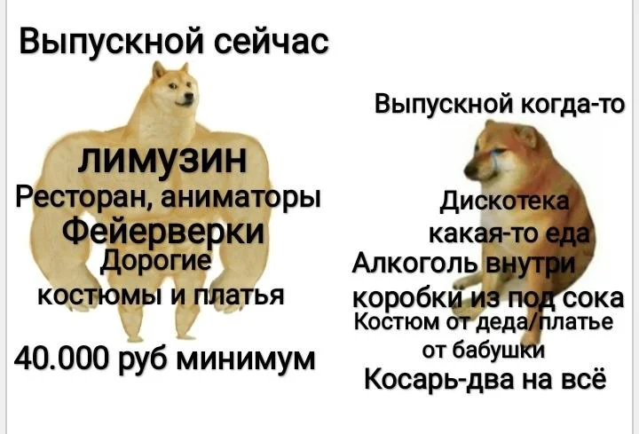 Первый корпоратив: мемы про выпускной 2026 года Первый корпоратив: мемы про выпускной 2026 года выпускной, мемы, школа, приколы, ностальгия, корпоратив