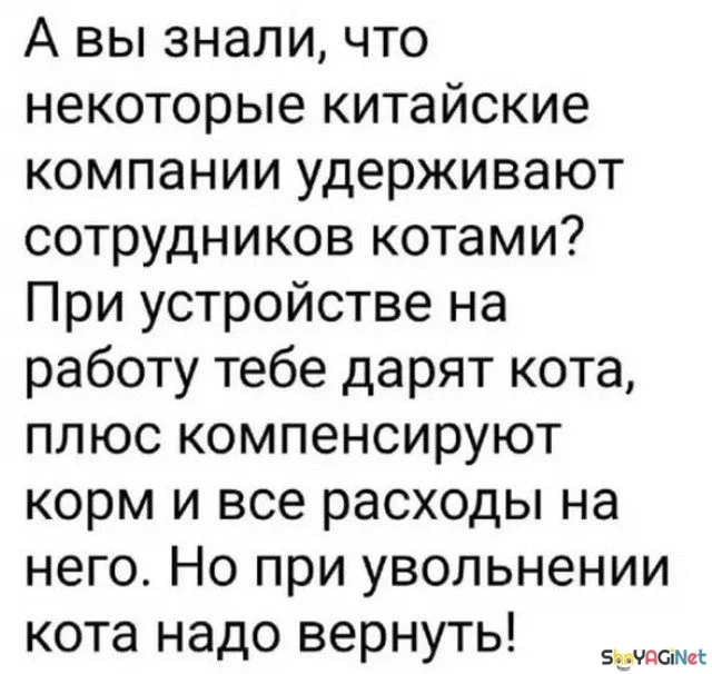 Рабочие будни с улыбкой: эпичные приколы и смешные кадры приколы, работа, юмор, фото