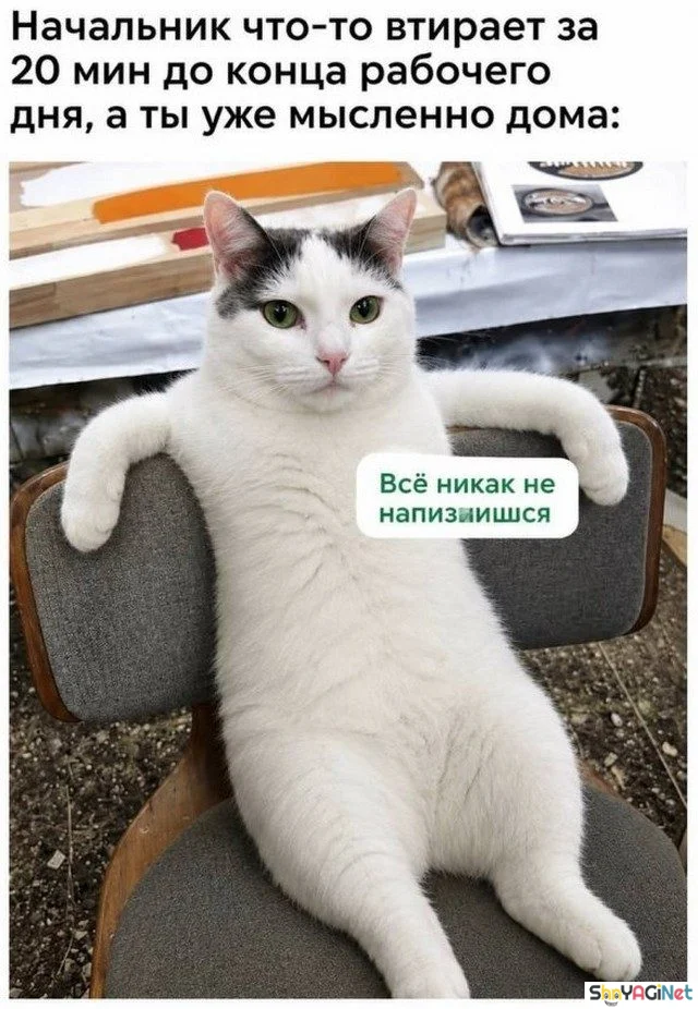 Рабочие будни с улыбкой: эпичные приколы и смешные кадры приколы, работа, юмор, фото