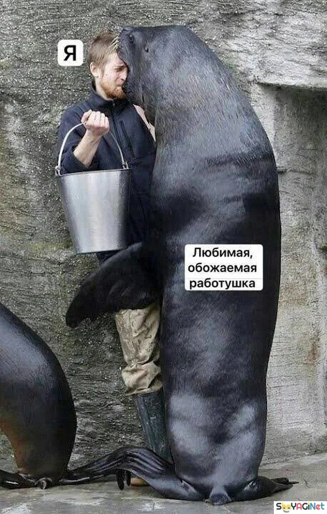Рабочие будни с улыбкой: эпичные приколы и смешные кадры приколы, работа, юмор, фото