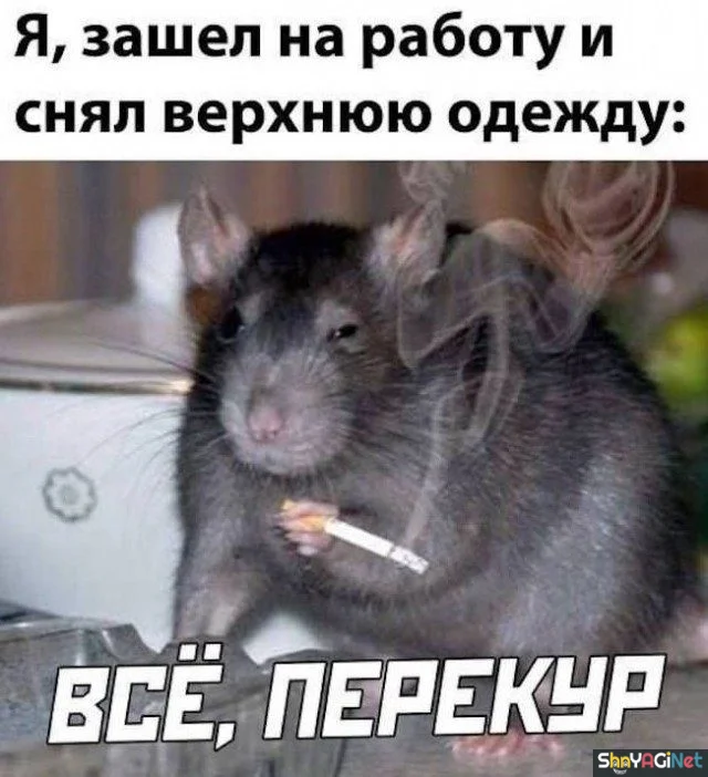 Рабочие будни с улыбкой: эпичные приколы и смешные кадры приколы, работа, юмор, фото