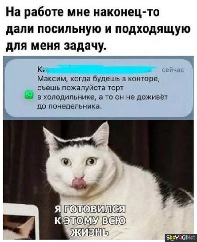 Рабочие будни с улыбкой: эпичные приколы и смешные кадры приколы, работа, юмор, фото
