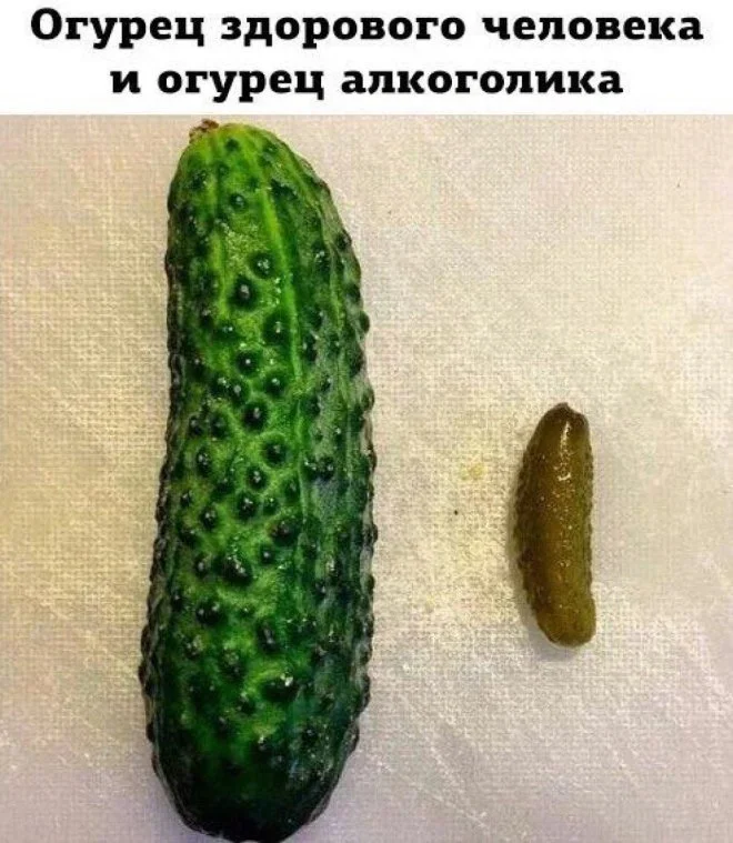 Субботний юмор: мемы про огурцы, котов и вежливую наглость Субботний юмор: мемы про огурцы, котов и вежливую наглость мемы, юмор, картинки, подборка, 27 июля, суббота