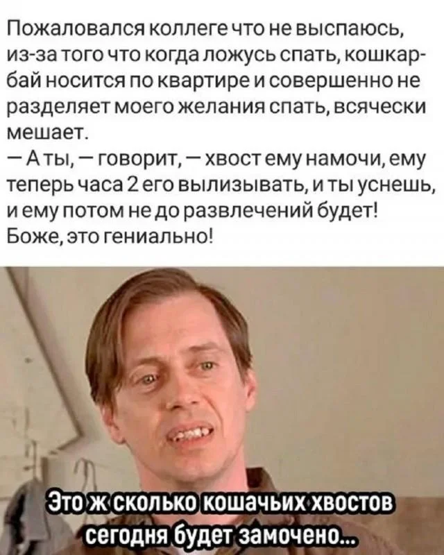 Субботний юмор: мемы про огурцы, котов и вежливую наглость Субботний юмор: мемы про огурцы, котов и вежливую наглость мемы, юмор, картинки, подборка, 27 июля, суббота