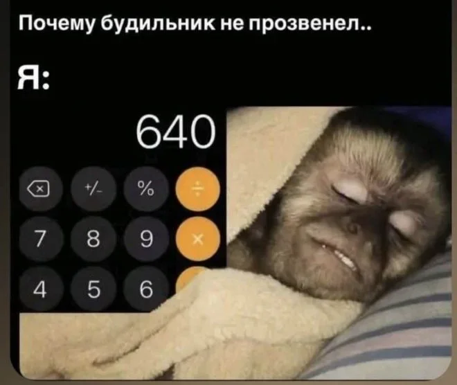Субботний юмор: мемы про огурцы, котов и вежливую наглость Субботний юмор: мемы про огурцы, котов и вежливую наглость мемы, юмор, картинки, подборка, 27 июля, суббота