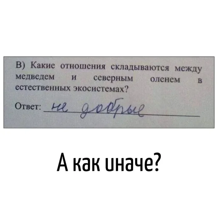 Словесные пируэты: коллекция каламбуров Словесные пируэты: коллекция каламбуров каламбуры, игра слов, юмор, языковые шутки