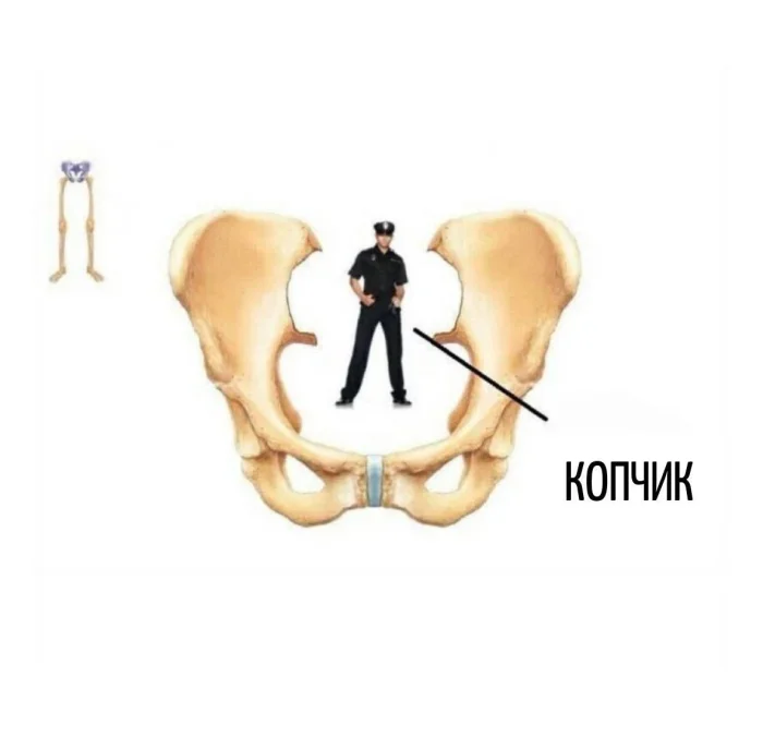 Словесные пируэты: коллекция каламбуров Словесные пируэты: коллекция каламбуров каламбуры, игра слов, юмор, языковые шутки