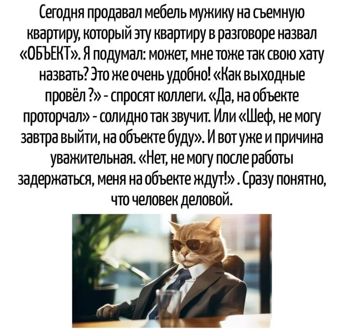 Словесные пируэты: коллекция каламбуров Словесные пируэты: коллекция каламбуров каламбуры, игра слов, юмор, языковые шутки