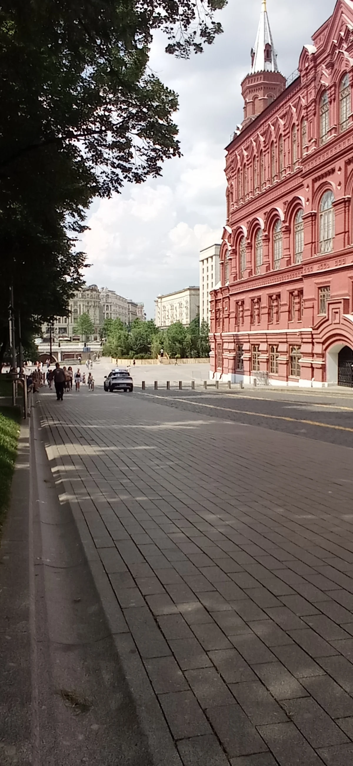 Экзотический оазис в центре столицы: как выглядит сад-трансформер у Кремля сад, Москва, растения, цветы, прогулка, лето, центр, достопримечательности