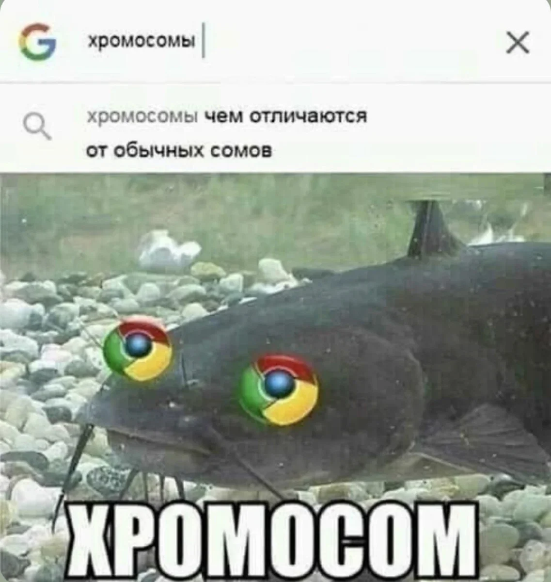 Убойные мемы недели: первая серия мемы, юмор, подборка, приколы, неделя