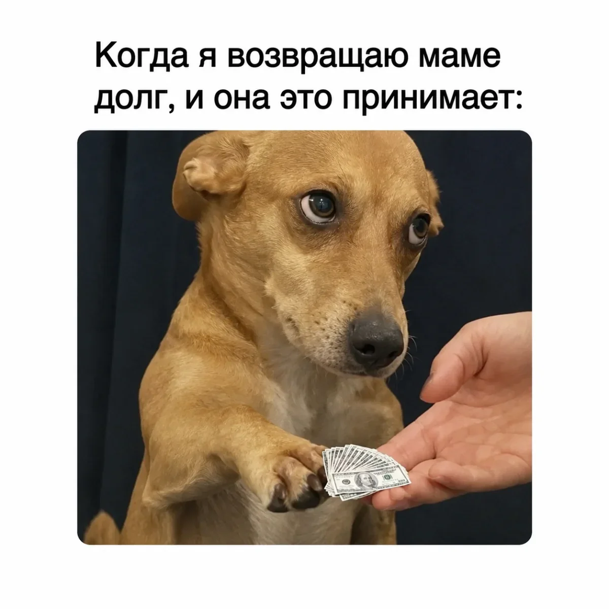 Убойные мемы недели: первая серия мемы, юмор, подборка, приколы, неделя