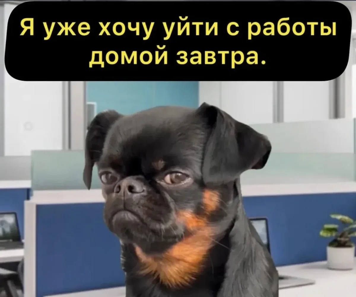 Убойные мемы недели: первая серия мемы, юмор, подборка, приколы, неделя
