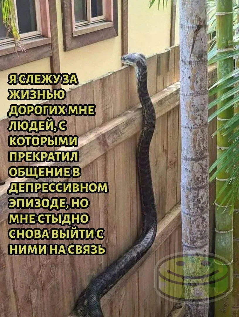 Смех сквозь слёзы: 26 мемов о психологии, которые бьют в самое сердце мемы, психология, юмор, подборка