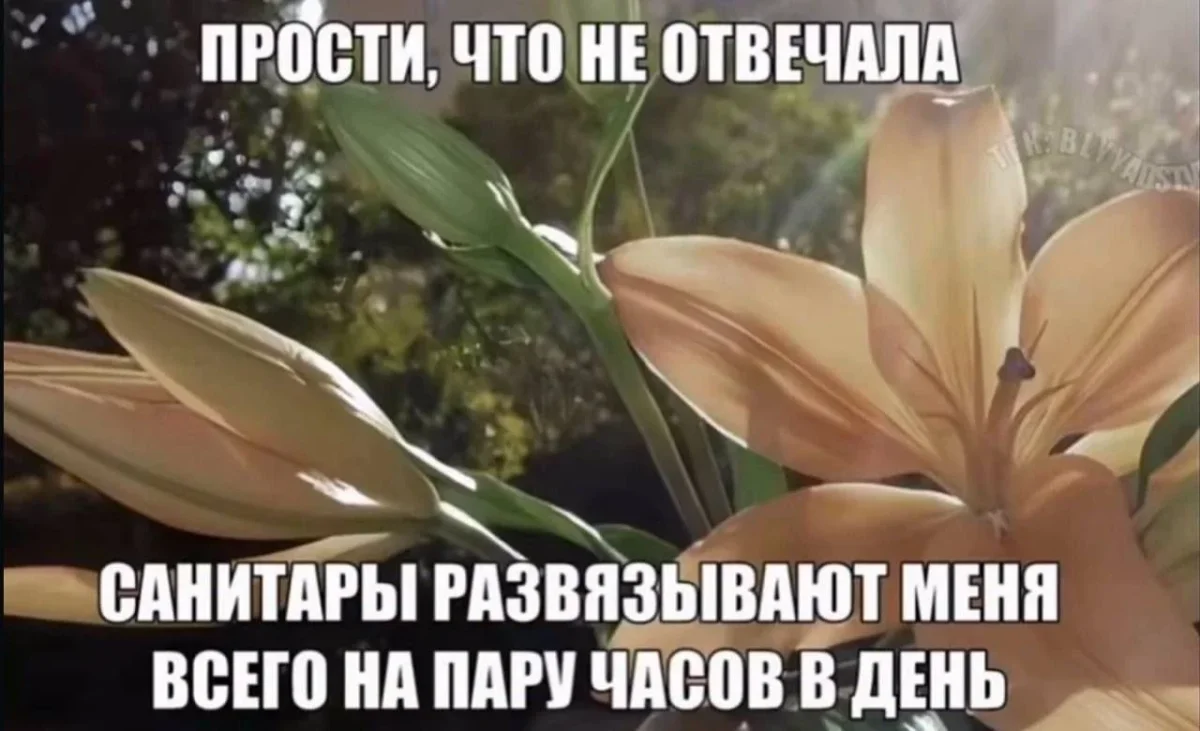 Смех сквозь слёзы: 26 мемов о психологии, которые бьют в самое сердце мемы, психология, юмор, подборка