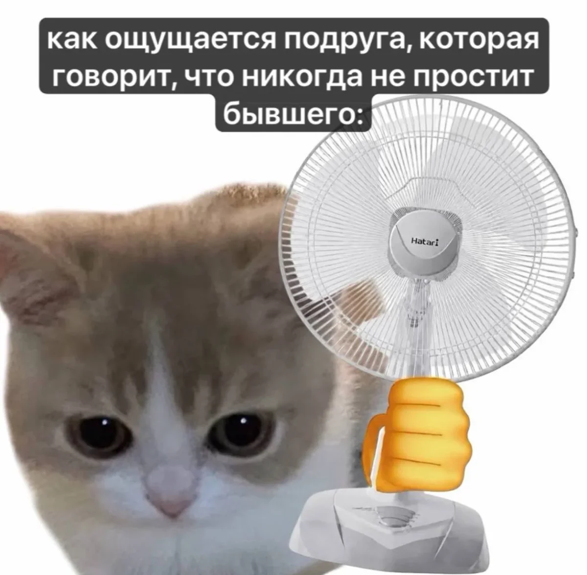 20 мемов, чтобы проснуться с улыбкой 29 июня мемы, приколы, картинки, утро, смешное