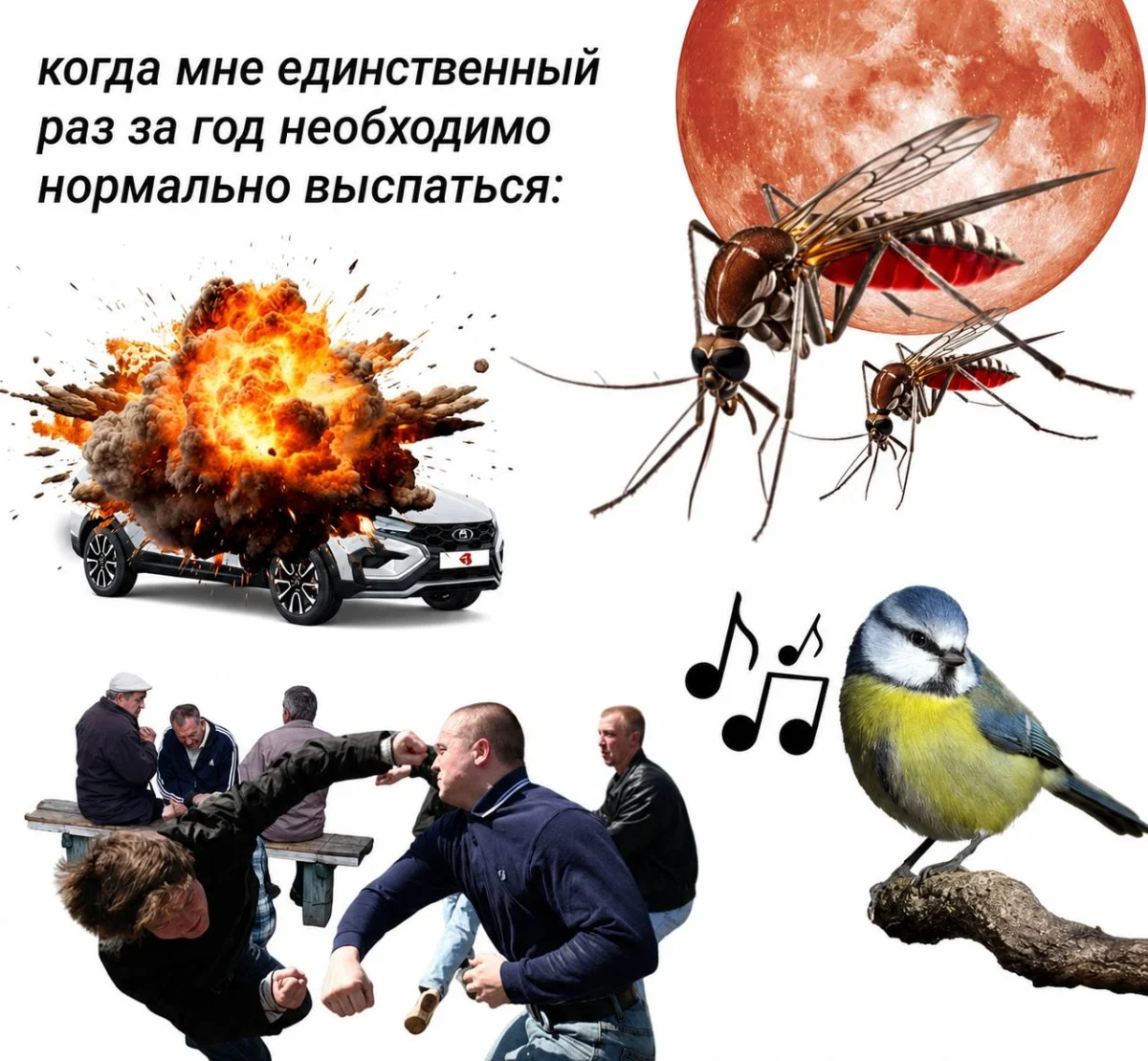 20 мемов, чтобы проснуться с улыбкой 29 июня мемы, приколы, картинки, утро, смешное