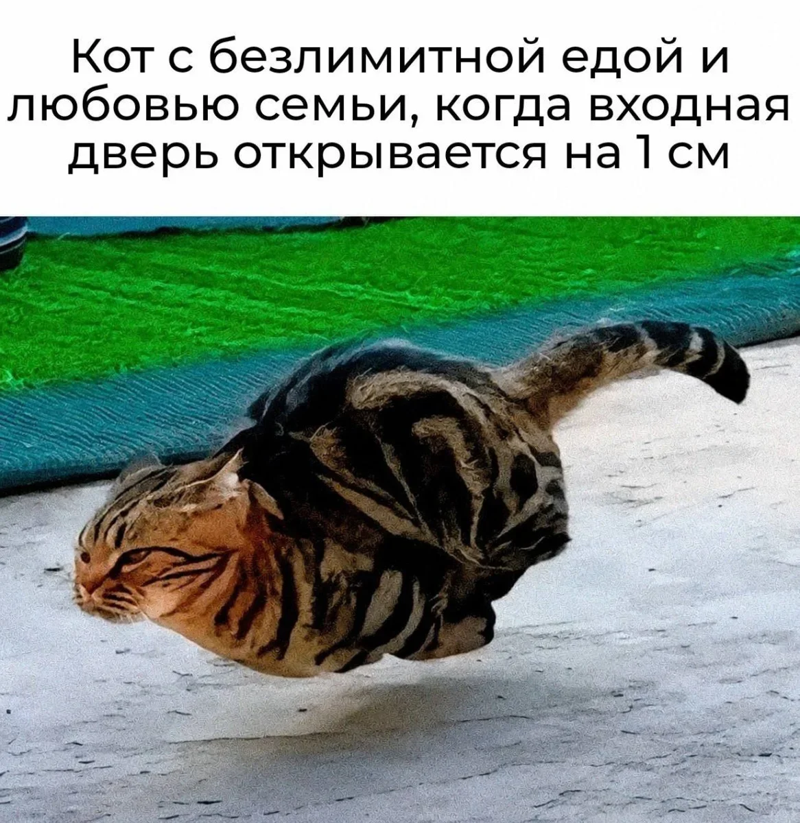 20 мемов, чтобы проснуться с улыбкой 29 июня мемы, приколы, картинки, утро, смешное