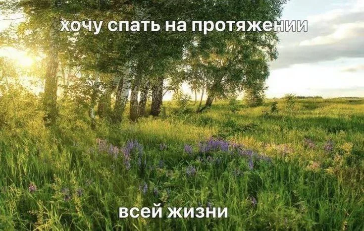 20 мемов, чтобы проснуться с улыбкой 29 июня мемы, приколы, картинки, утро, смешное