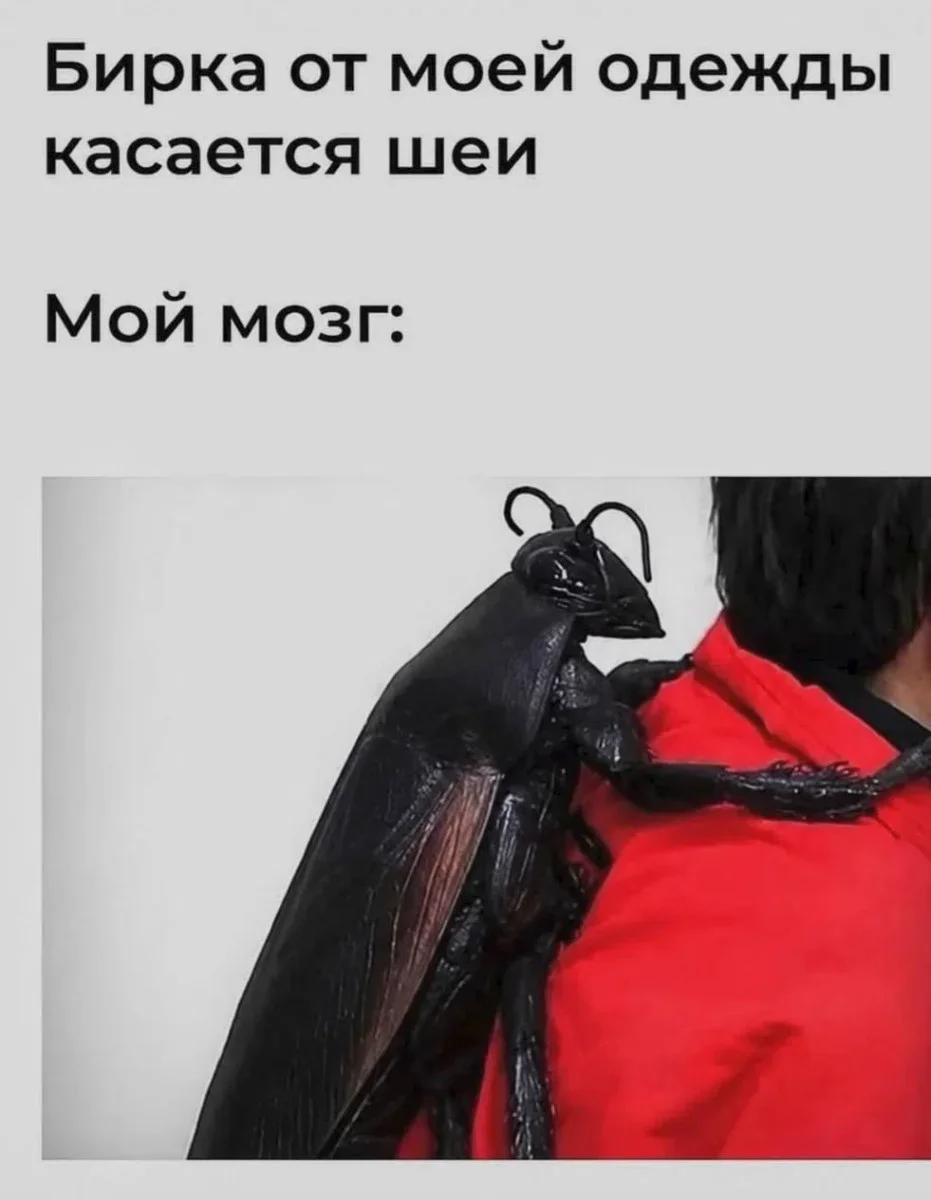 20 мемов, чтобы проснуться с улыбкой 29 июня мемы, приколы, картинки, утро, смешное