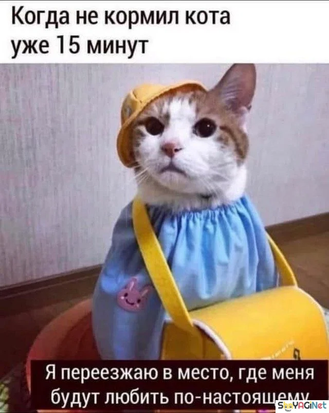 Жизненные мемы «Когда...»: порция угара Жизненные мемы «Когда...»: порция угара приколы, мемы, когда, юмор, картинки