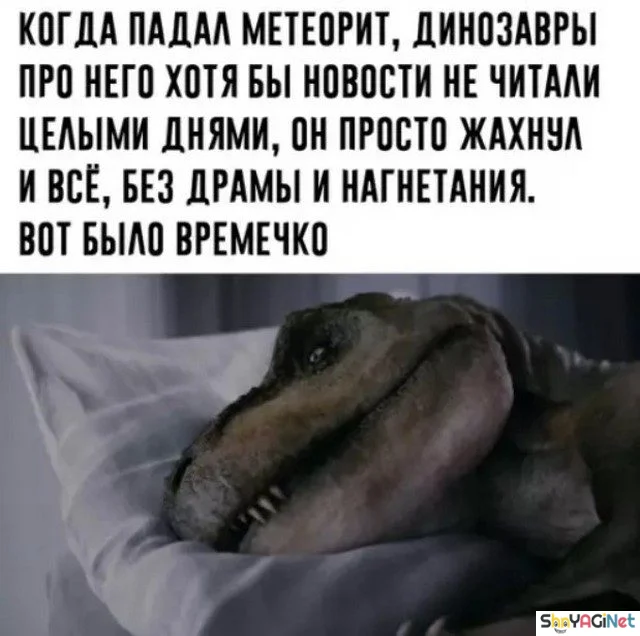 Жизненные мемы «Когда...»: порция угара Жизненные мемы «Когда...»: порция угара приколы, мемы, когда, юмор, картинки
