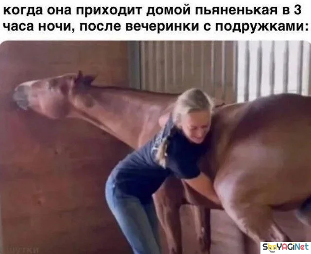 Жизненные мемы «Когда...»: порция угара Жизненные мемы «Когда...»: порция угара приколы, мемы, когда, юмор, картинки
