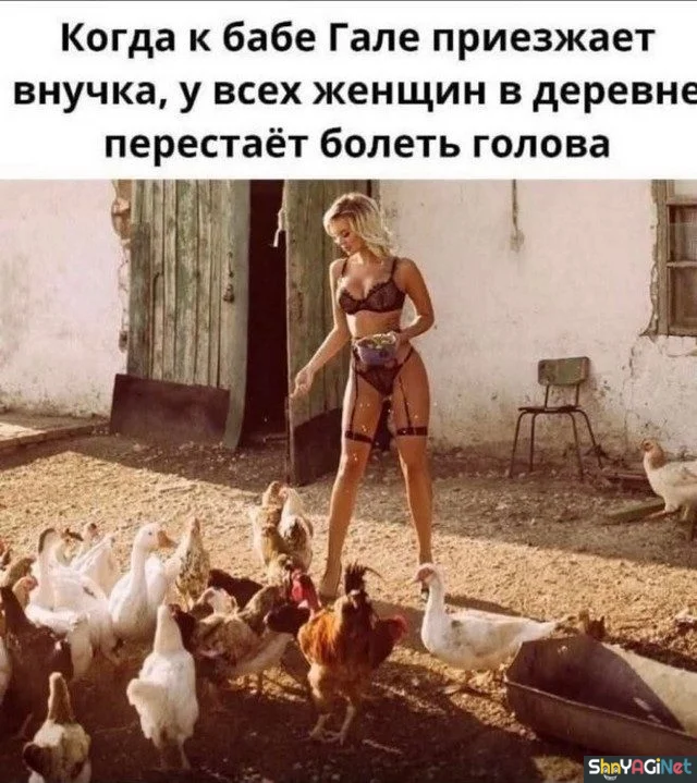 Жизненные мемы «Когда...»: порция угара