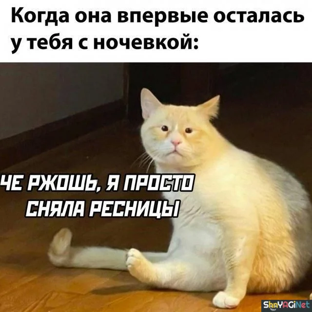 Жизненные мемы «Когда...»: порция угара приколы, мемы, когда, юмор, картинки