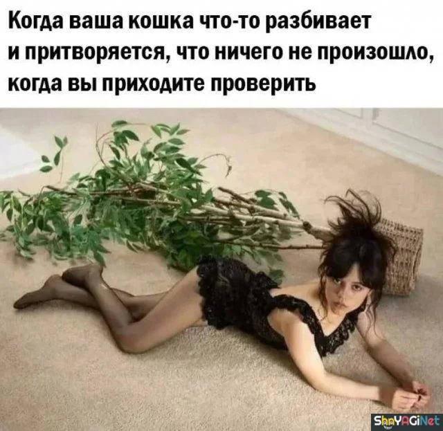 Жизненные мемы «Когда...»: порция угара Жизненные мемы «Когда...»: порция угара приколы, мемы, когда, юмор, картинки