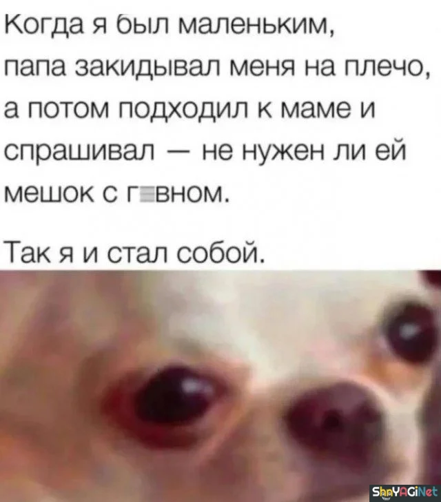 Жизненные мемы «Когда...»: порция угара Жизненные мемы «Когда...»: порция угара приколы, мемы, когда, юмор, картинки