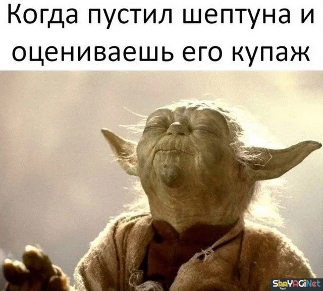 Жизненные мемы «Когда...»: порция угара Жизненные мемы «Когда...»: порция угара приколы, мемы, когда, юмор, картинки