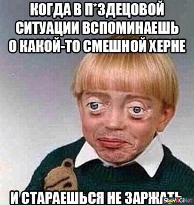 Жизненные мемы «Когда...»: порция угара Жизненные мемы «Когда...»: порция угара приколы, мемы, когда, юмор, картинки
