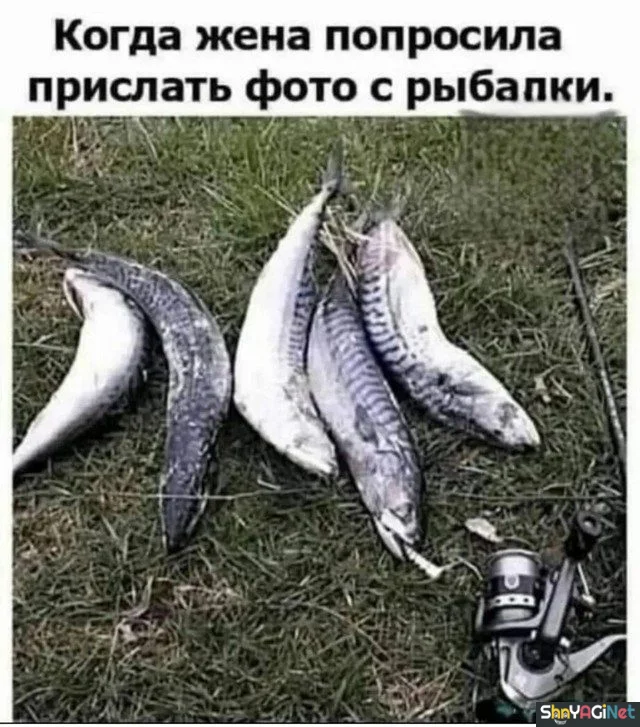 Жизненные мемы «Когда...»: порция угара Жизненные мемы «Когда...»: порция угара приколы, мемы, когда, юмор, картинки