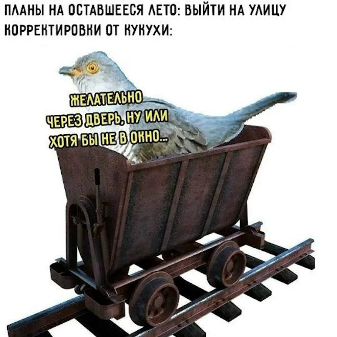 Порция смеха: убойные мемы и шутки дня юмор, мемы, приколы, картинки, позитив