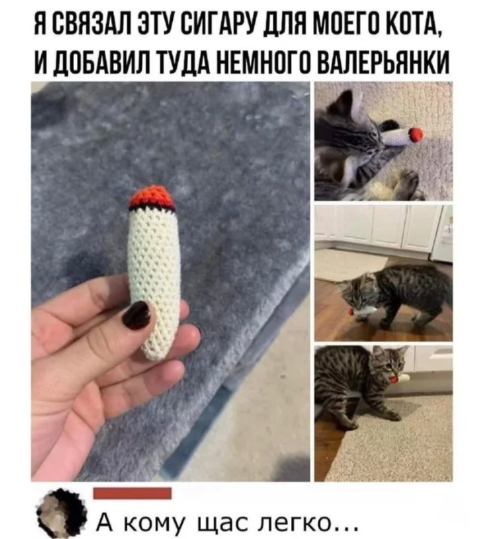 Порция смеха: убойные мемы и шутки дня юмор, мемы, приколы, картинки, позитив