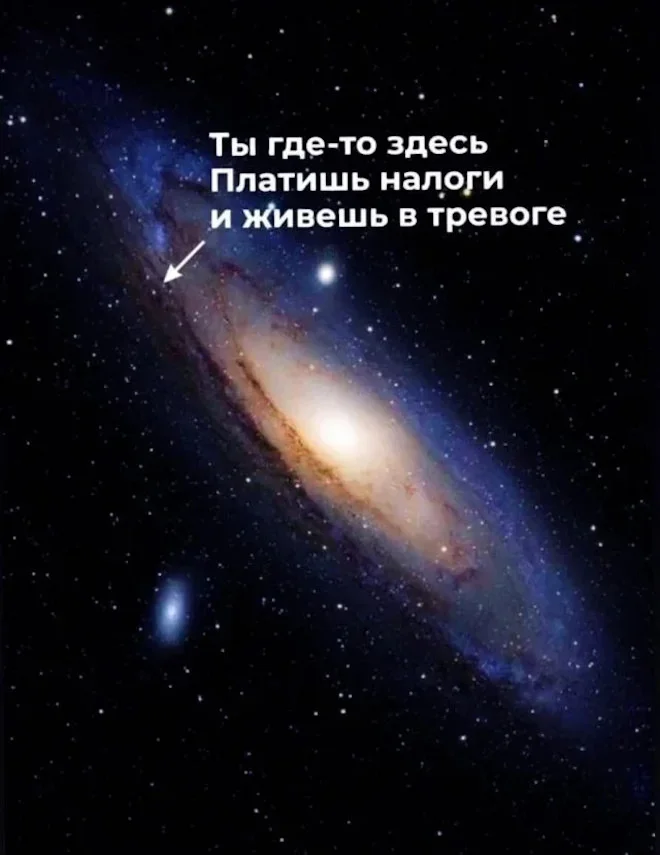 Порция смеха: убойные мемы и шутки дня юмор, мемы, приколы, картинки, позитив
