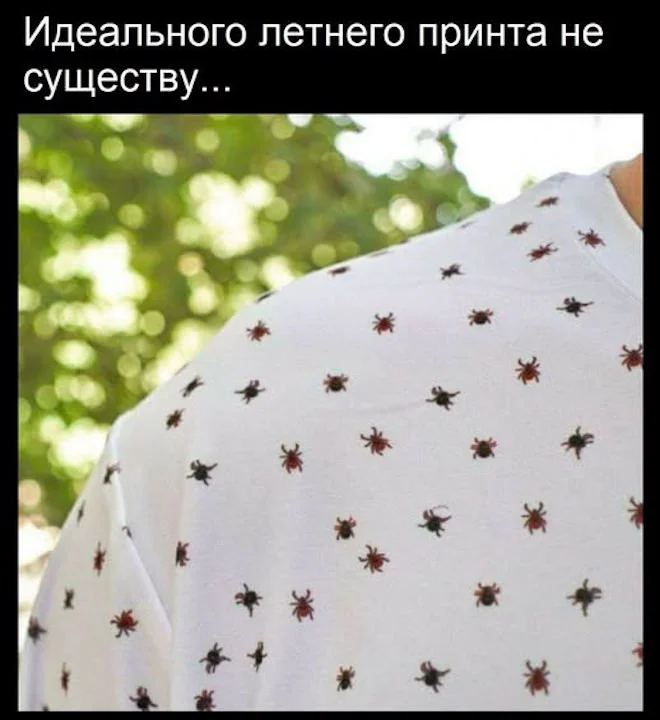 Порция смеха: убойные мемы и шутки дня юмор, мемы, приколы, картинки, позитив