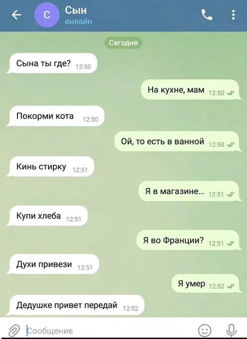 Жизненные парадоксы и политическая сатира: подборка для думающих