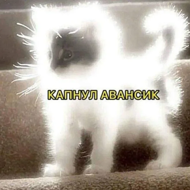 Утренние мемы: кот, вода и ностальгия Утренние мемы: кот, вода и ностальгия мемы, юмор, приколы, подборка, кот, вода, пазл, самооценка