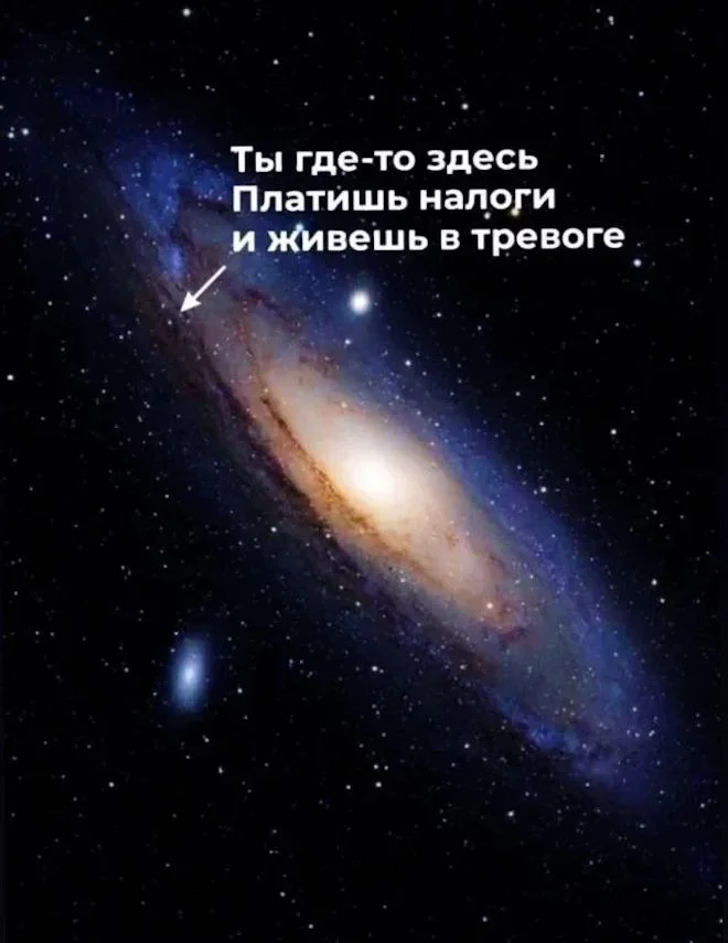 Утренние мемы: кот, вода и ностальгия Утренние мемы: кот, вода и ностальгия мемы, юмор, приколы, подборка, кот, вода, пазл, самооценка
