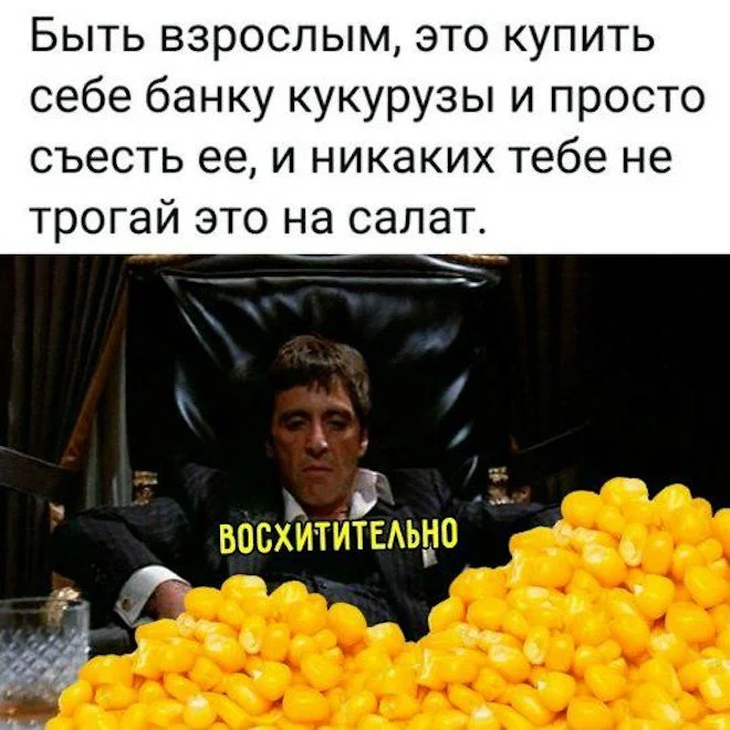 Утренние мемы: кот, вода и ностальгия Утренние мемы: кот, вода и ностальгия мемы, юмор, приколы, подборка, кот, вода, пазл, самооценка