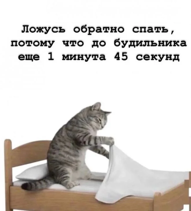 Утренние мемы: кот, вода и ностальгия Утренние мемы: кот, вода и ностальгия мемы, юмор, приколы, подборка, кот, вода, пазл, самооценка