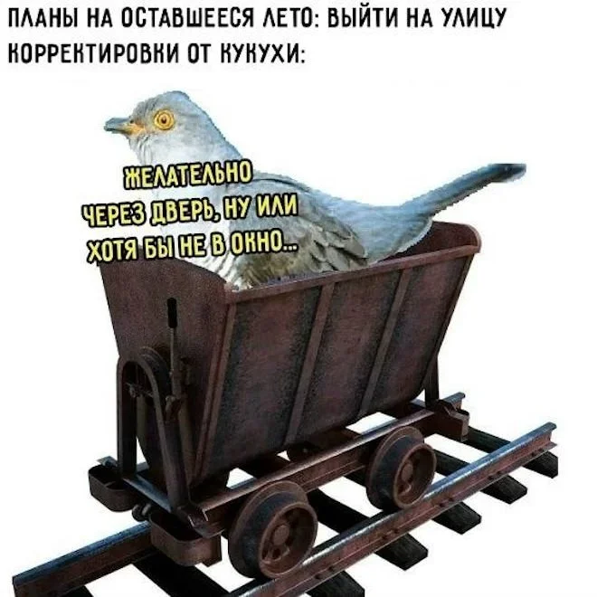 Утренние мемы: кот, вода и ностальгия Утренние мемы: кот, вода и ностальгия мемы, юмор, приколы, подборка, кот, вода, пазл, самооценка