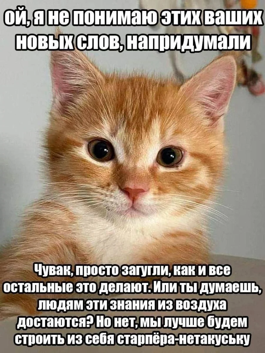 Утренние мемы: кот, вода и ностальгия Утренние мемы: кот, вода и ностальгия мемы, юмор, приколы, подборка, кот, вода, пазл, самооценка