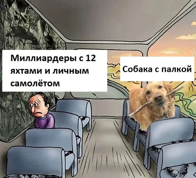 Утренние мемы: кот, вода и ностальгия Утренние мемы: кот, вода и ностальгия мемы, юмор, приколы, подборка, кот, вода, пазл, самооценка