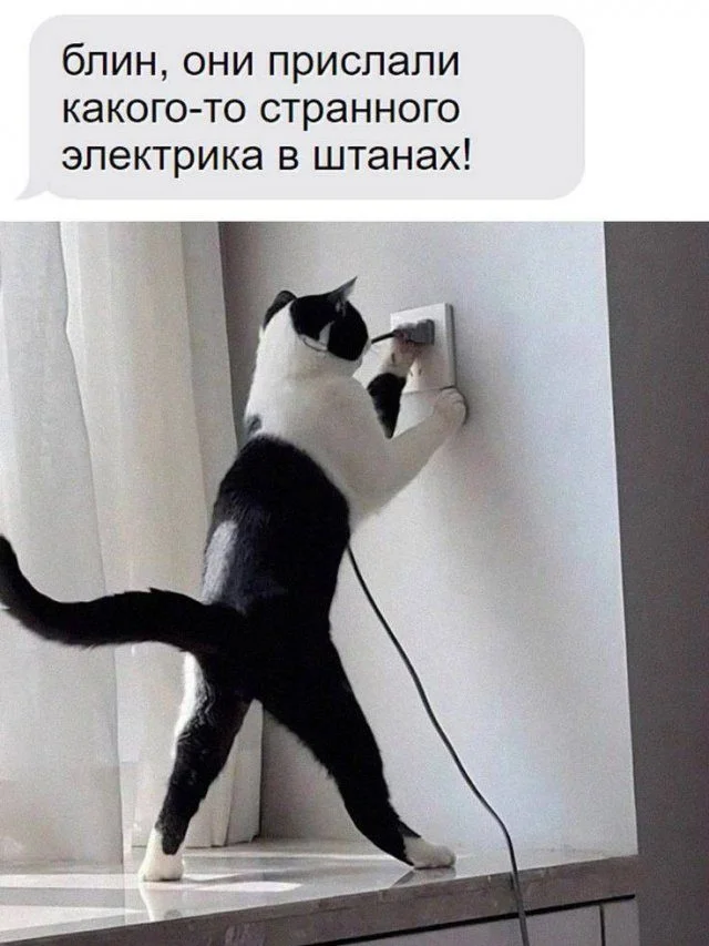 Дневная порция смеха: 15 мемов, от которых порвёт Дневная порция смеха: 15 мемов, от которых порвёт мемы, приколы, юмор, картинки, подборка