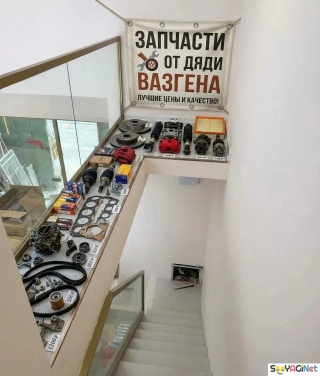 Попросил помощи — и получил целую историю приколы, социальные сети, помощь, обустройство
